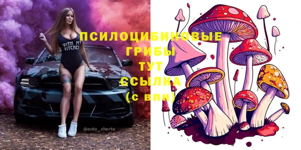 крисы Горно-Алтайск