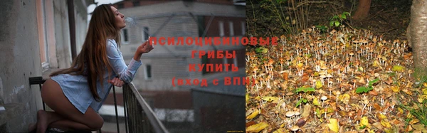 мяу мяу мука Горнозаводск