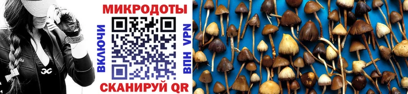 Галлюциногенные грибы ЛСД  Власиха 